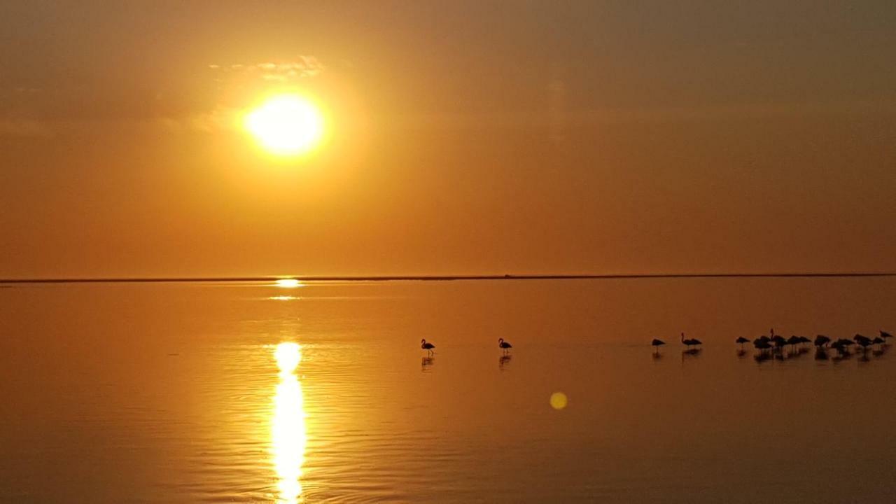 Flamingo Cottage No 12 Meersig المظهر الخارجي الصورة